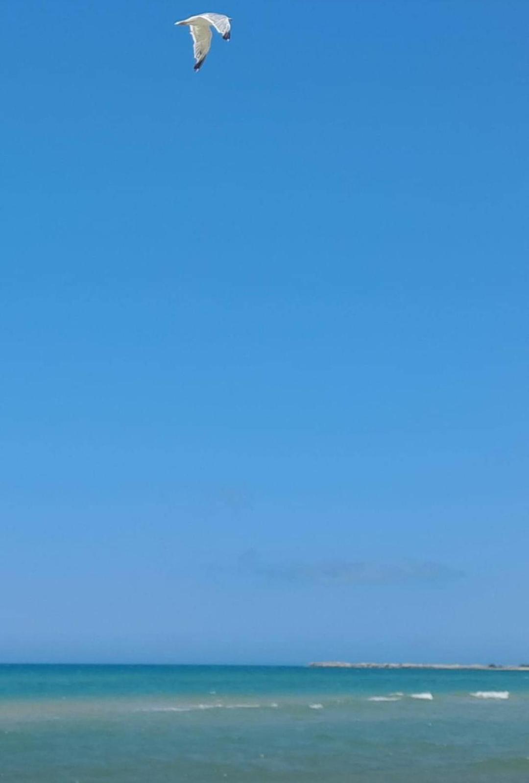 La Foggia Seaside Paradise Сикульяна Экстерьер фото